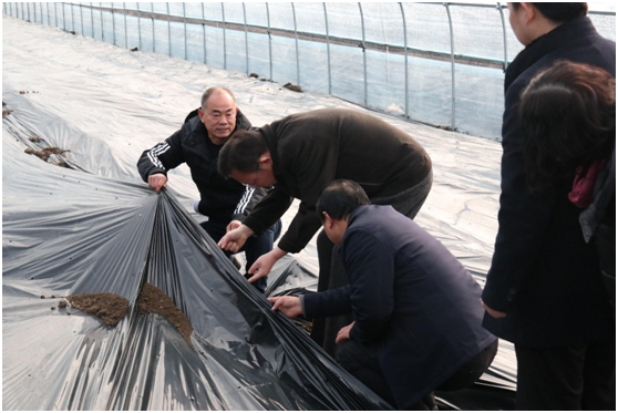 圖片.png 圖片.png